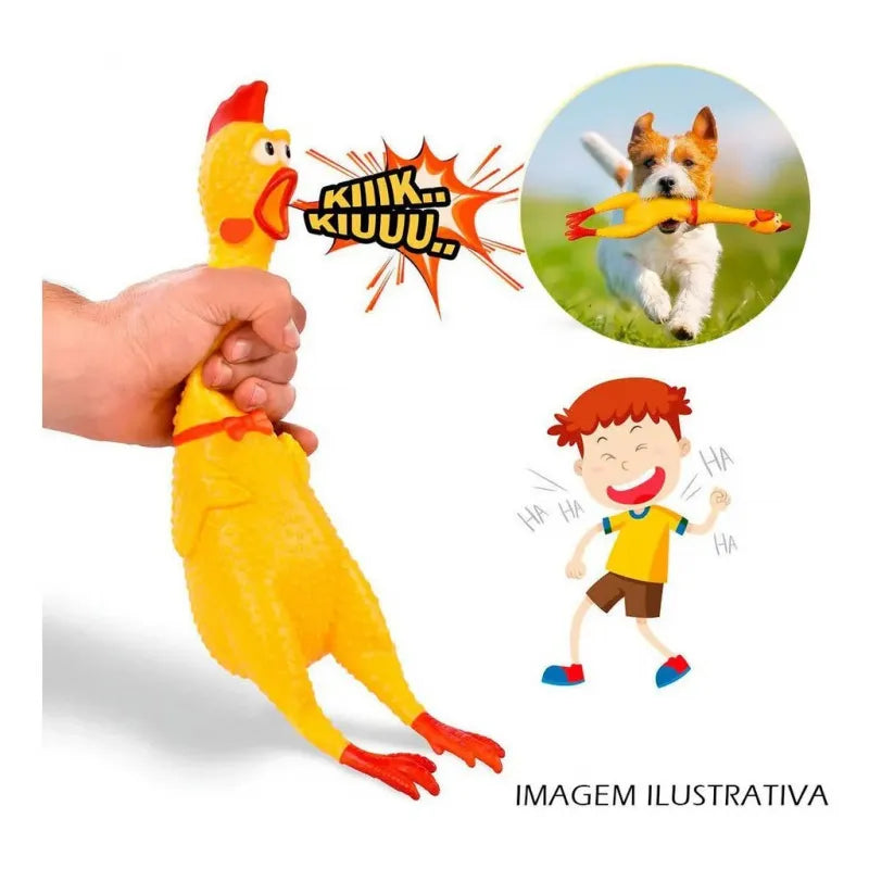 Brinquedo Pet Chicken Toy